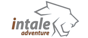 cropped logo.png