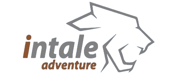 cropped logo.png