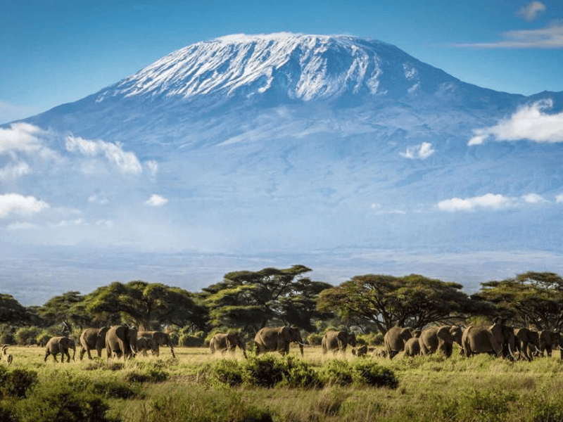 mountain kilimanjaro